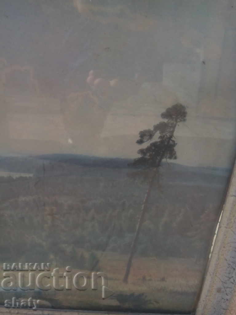 Auction Old reproduction Auction Old reproduction