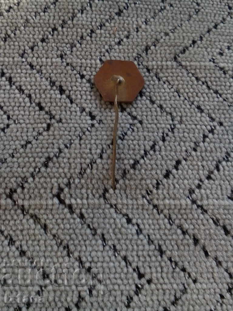 Licitație insignă Bulgarie Licitație insignă Bulgarie