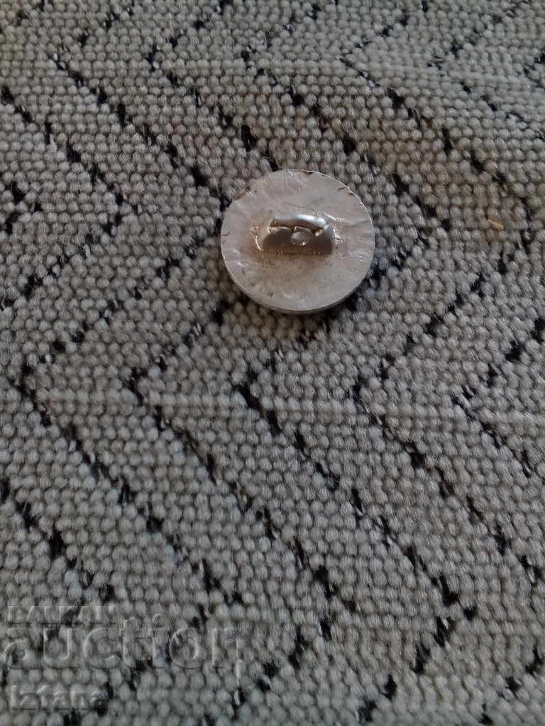 Buton vechi cu preț 2.00 BGN | € 1.02