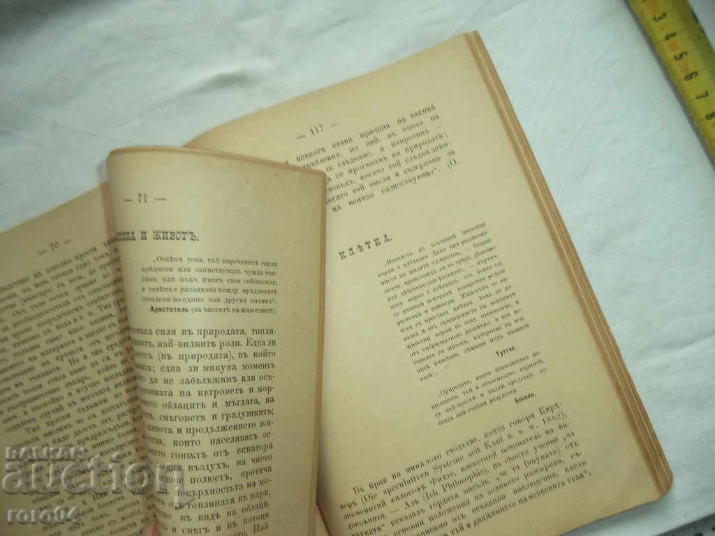 Delivery of PHYSIOLOGICAL PICTURES - LUDVIG BOUCHNER - 1896 г.