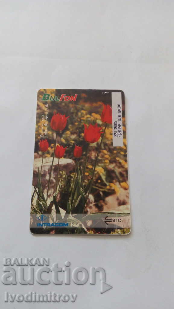 Phone book Bulfon Rhodope tulip