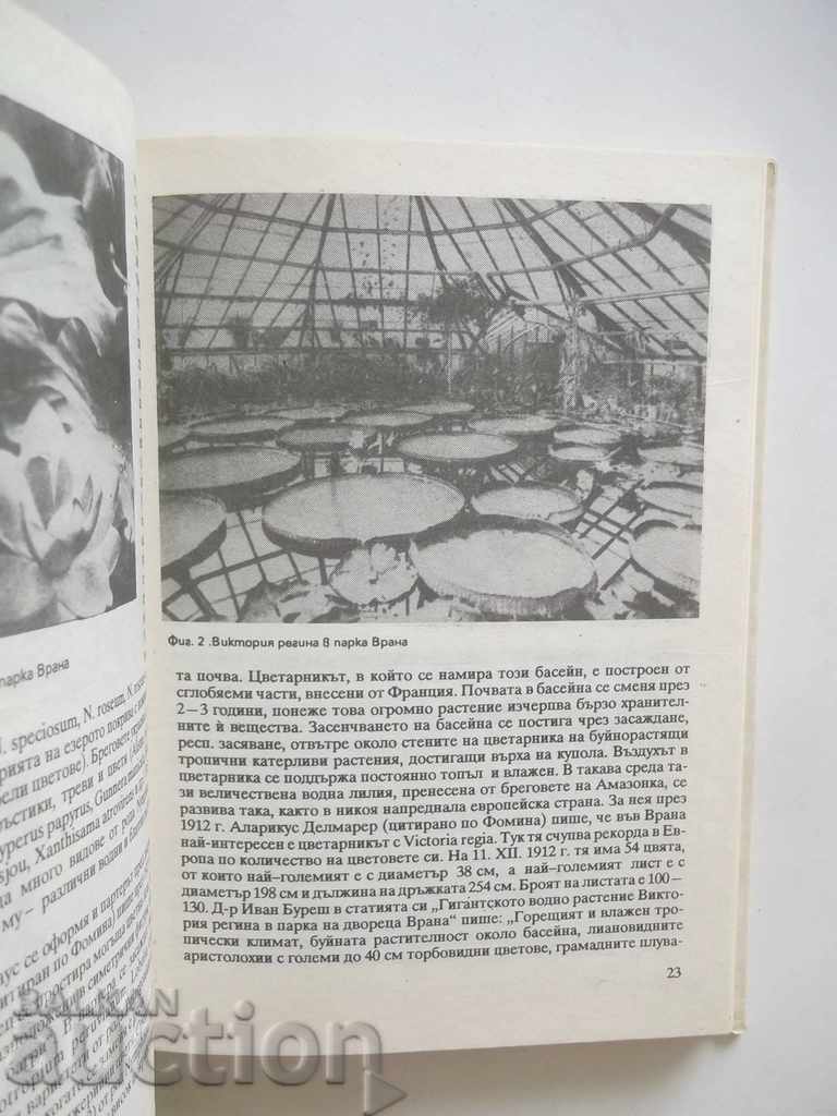 Delivery of Flora in Bulgaria - Gena Papazova, G. Yordanova 1989 Delivery of Flora in Bulgaria - Gena Papazova, G. Yordanova 1989