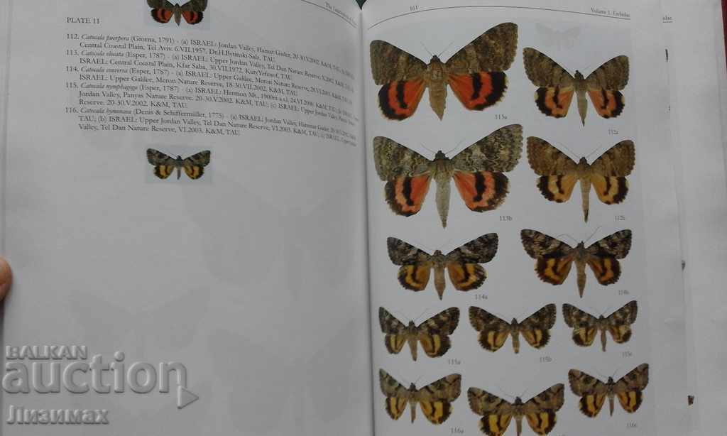 Delivery of PROMOTION! - The Lepidoptera of Israel. Volume I: Erebidae