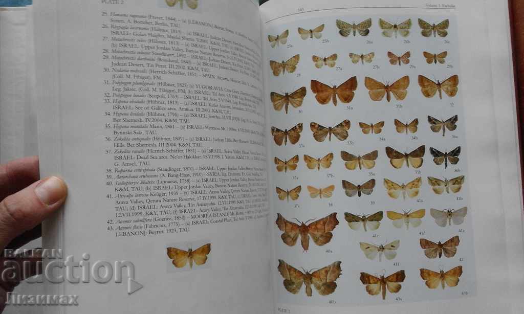 PROMOTION! - The Lepidoptera of Israel. Volume I: Erebidae - 5