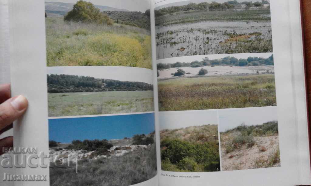 PROMOTION! - The Lepidoptera of Israel. Volume I: Erebidae - 6