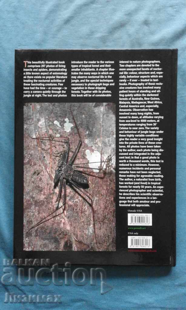 Auction  PROMOTION! Bruce Purser - Jungle Bugs in the Night