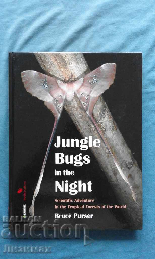 ΠΡΟΩΘΗΣΗ! - Bruce λογιστήριο - Ζούγκλα Bugs στη νύχτα