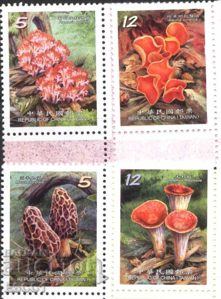 Pure Mushrooms Brands 2013 from Taiwan with price 3.80 BGN | € 1.94 Pure Mushrooms Brands 2013 from Taiwan with price 3.80 BGN | € 1.94