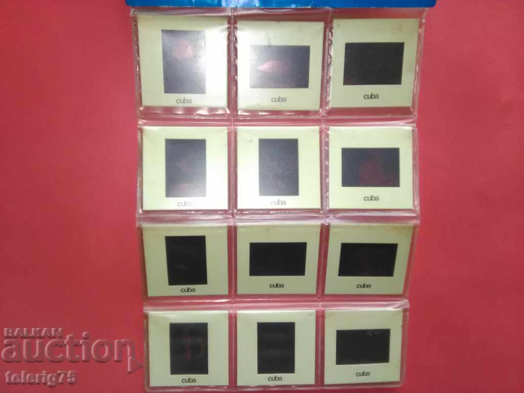 Collector's Old Coca-Pisces and Fauna ' with price 15.00 BGN | € 7.67