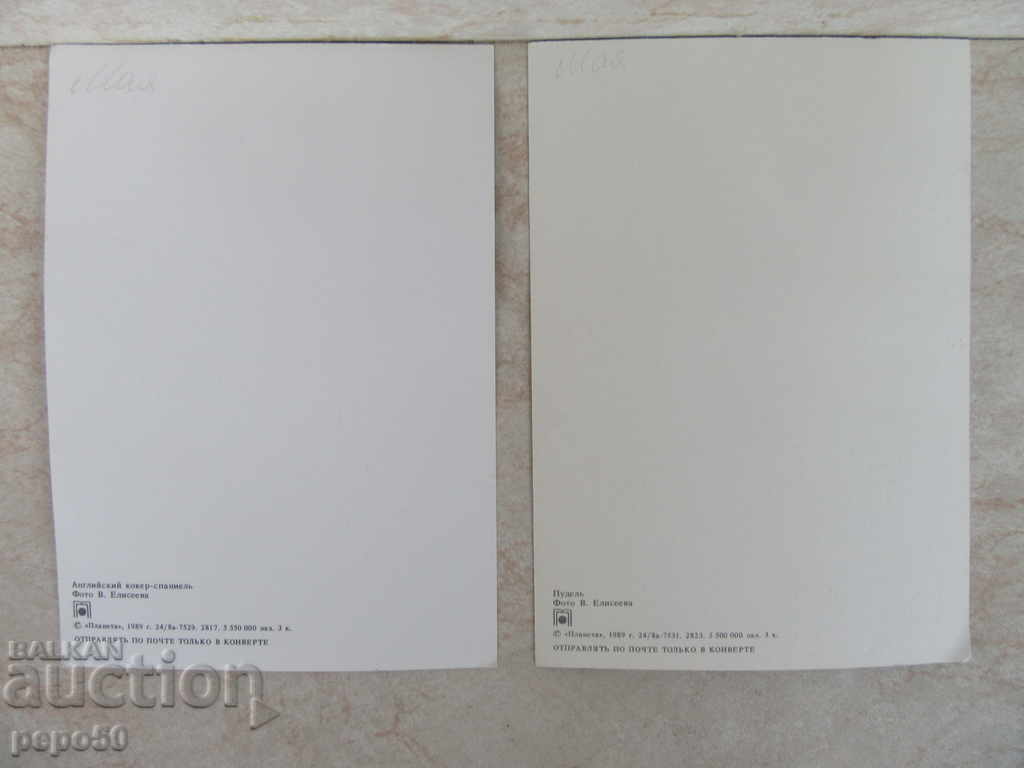 2 pcs. BEAUTIFUL CARDS FROM THE USSR - THE DOGS with price 2.00 BGN | € 1.02