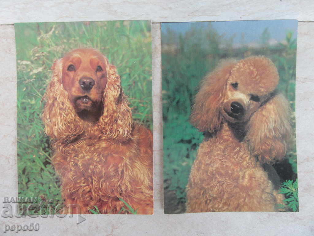 2 pcs. BEAUTIFUL CARDS FROM THE USSR - THE DOGS