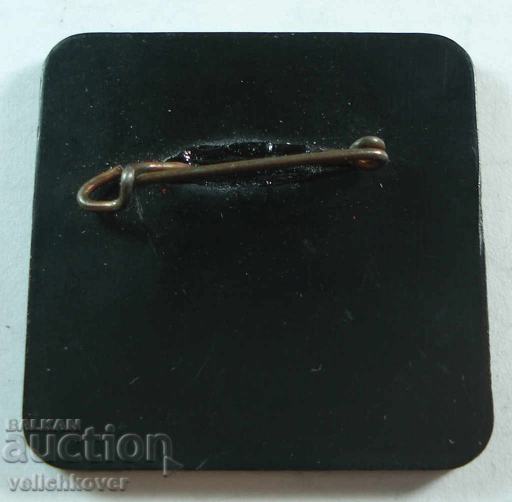 19683 Bulgaria flag BSP Bulgarian Socialist Party with price 3.00 BGN | € 1.53