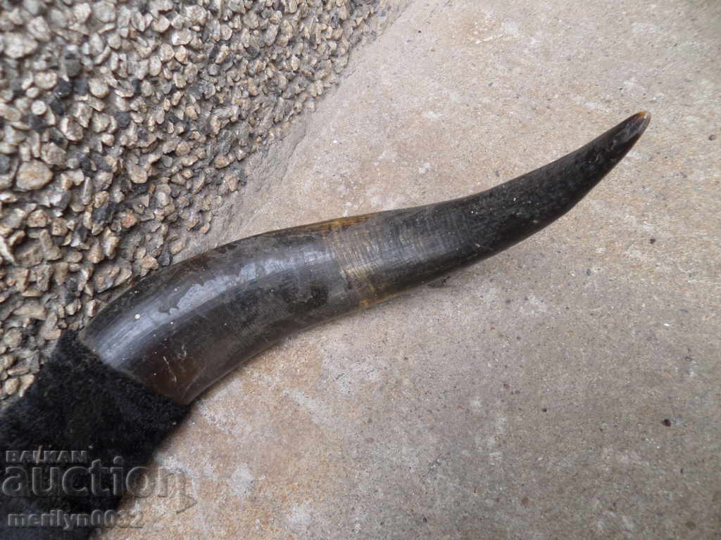 Auction Old hunting horn horn iron 20th century Auction Old hunting horn horn iron 20th century