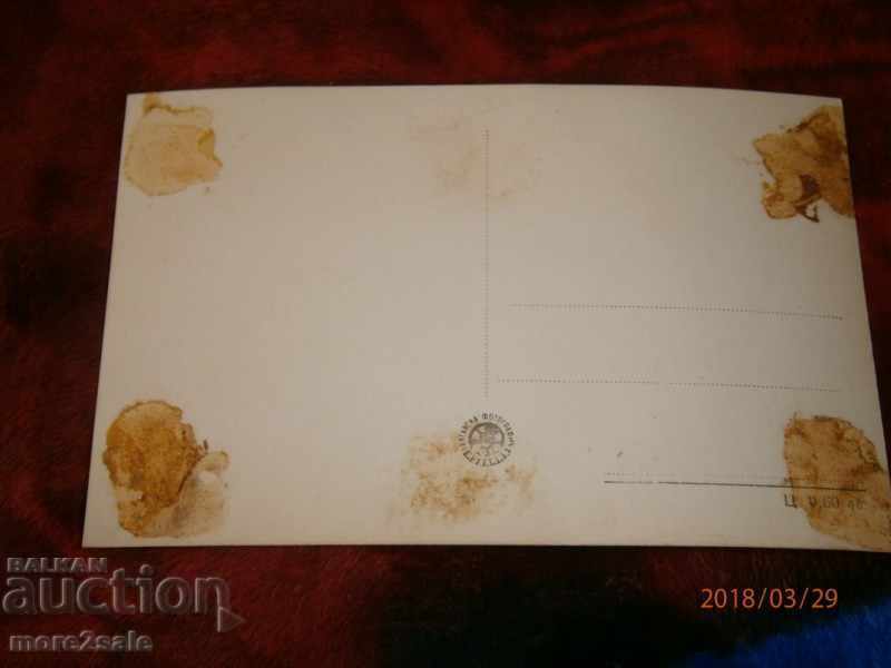 ΚΑΡΤΑ ΜΕΤΑΦΟΡΑΣ - ΓΙΝΑ ΛΟΜΠΡΙΔΙΖΙΔΑ με τιμή 0.60 BGN | € 0.31 ΚΑΡΤΑ ΜΕΤΑΦΟΡΑΣ - ΓΙΝΑ ΛΟΜΠΡΙΔΙΖΙΔΑ με τιμή 0.60 BGN | € 0.31