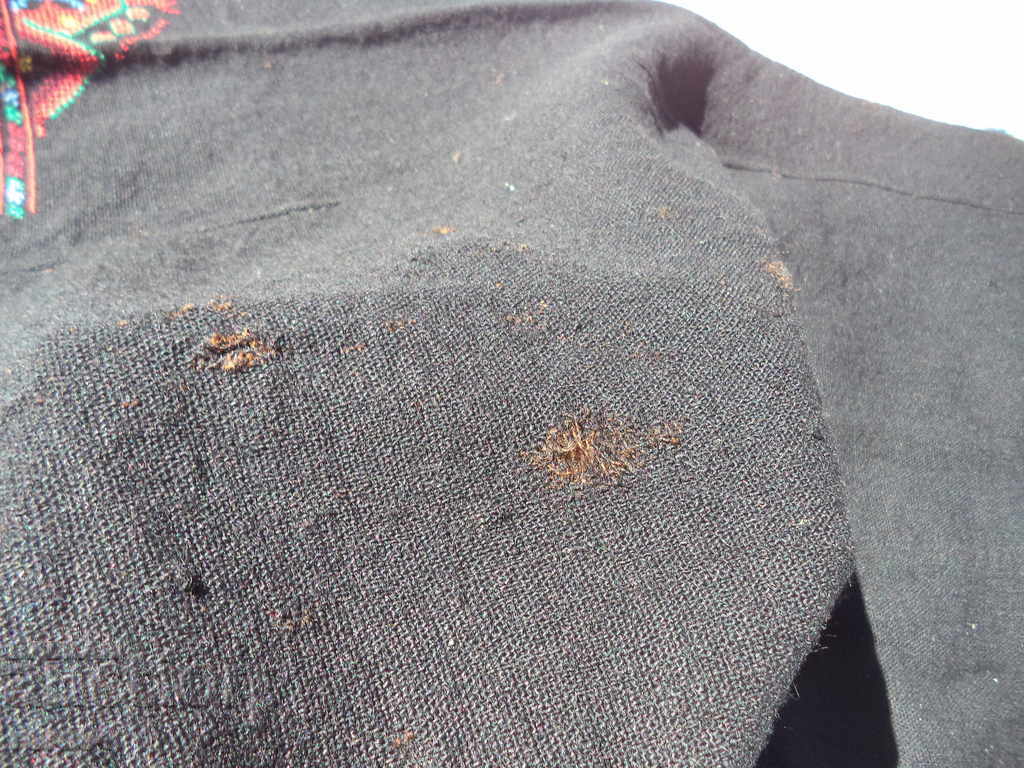 Auction SUMMER WITH MOLD STICKERS Auction SUMMER WITH MOLD STICKERS