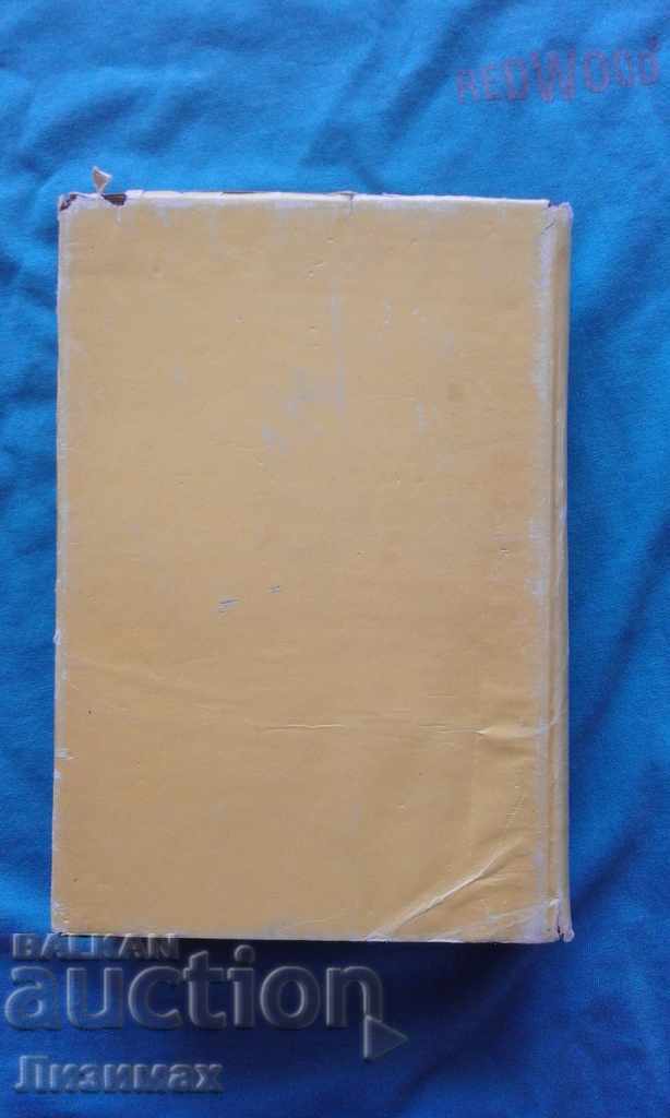 Licitație Generalul de Gaulle - Nikolay Molchanov