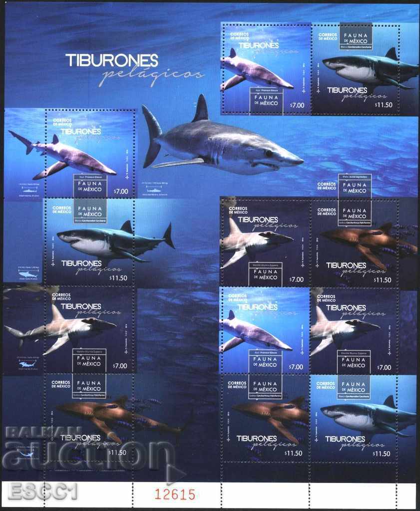 Чисти марки в малък лист Фауна Акули 2016 от Мексико