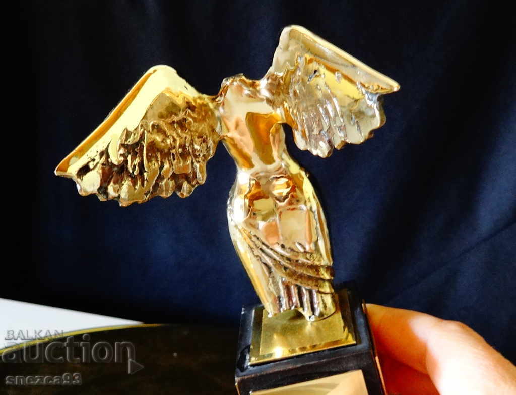 Livrarea Cetățeanul de onoare al orașului Varna, statuia Prof. Bratanov.