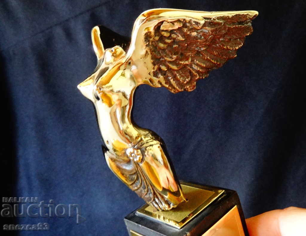 Cetățeanul de onoare al orașului Varna, statuia Prof. Bratanov. - 5