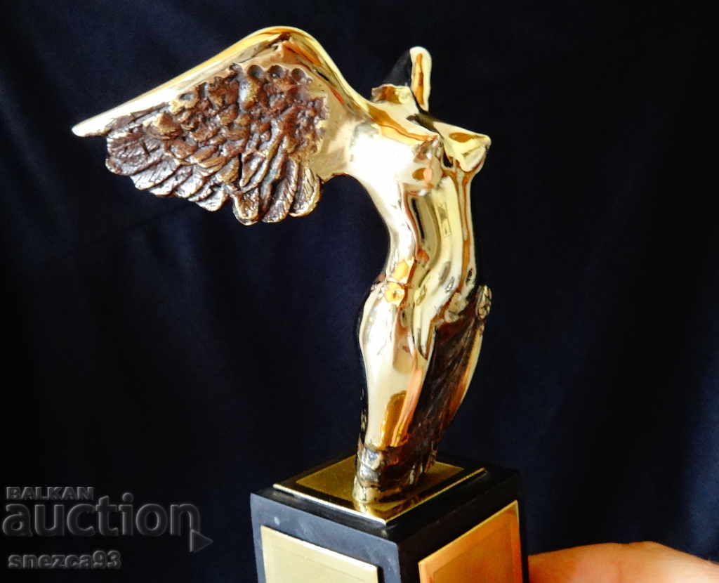 Cetățeanul de onoare al orașului Varna, statuia Prof. Bratanov. - 6