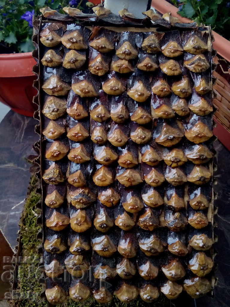 Model of an old house - 7