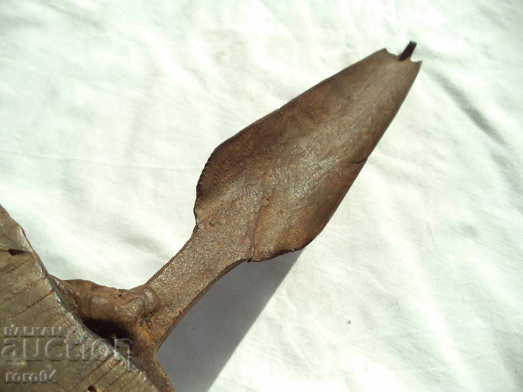 STAR MASSIVE RELIGIOUS ENVIRONMENT - 6 STAR MASSIVE RELIGIOUS ENVIRONMENT - 6