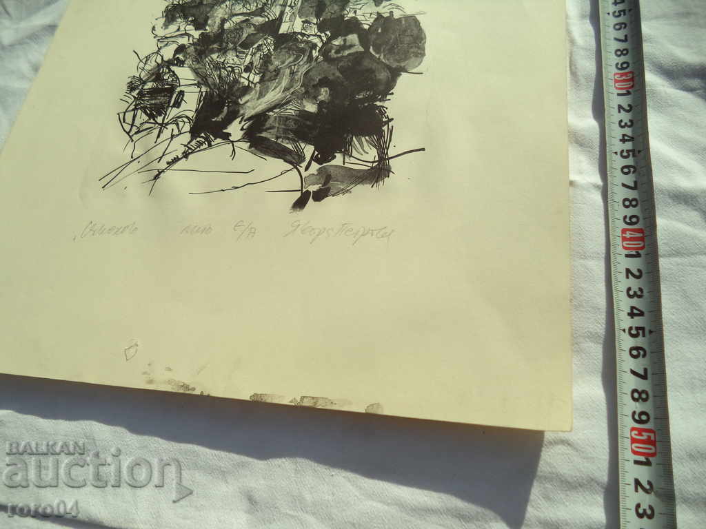 Licitație JAVORA PETROVA 1957 - "SAMOKOV" LITHO E / A