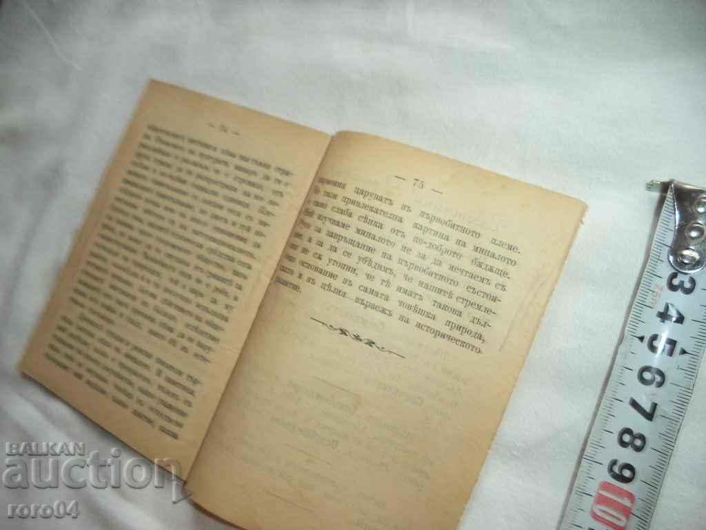 PUBLIC INSTITUTIONS IN THE PEOPLE - KARLA KAUKKI - 1895 - 5 PUBLIC INSTITUTIONS IN THE PEOPLE - KARLA KAUKKI - 1895 - 5