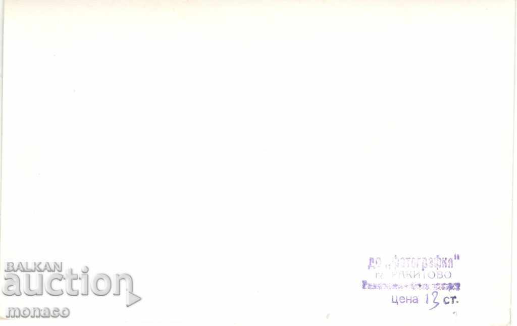 Postcard - Rakitovo, holiday station with price 2.60 BGN | € 1.33 Postcard - Rakitovo, holiday station with price 2.60 BGN | € 1.33