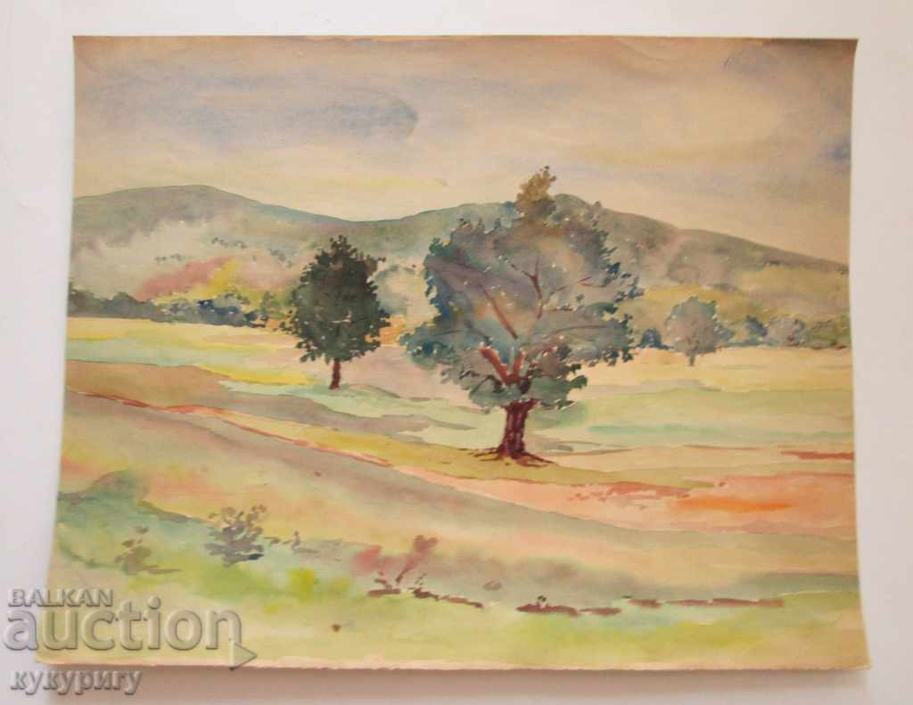 Peisaj pictura peisaj pictura acuarela D. Kosev nesemnate cu preț 210.00 BGN | € 107.37