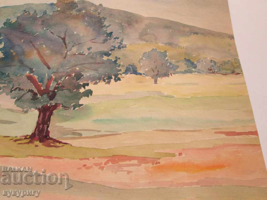 Licitație Peisaj pictura peisaj pictura acuarela D. Kosev nesemnate