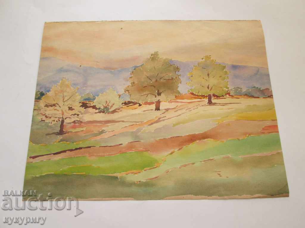 Livrarea Peisaj pictura peisaj pictura acuarela D. Kosev nesemnate