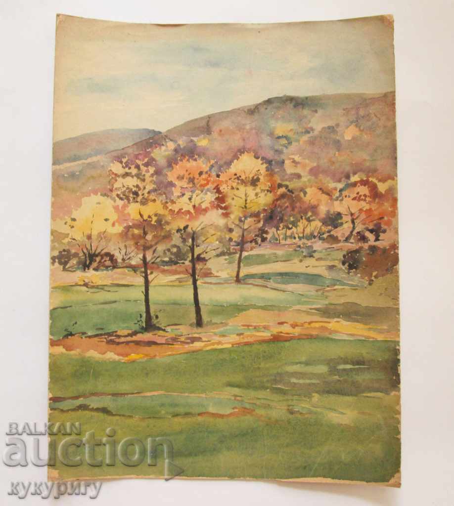 Old painting landscape painting watercolor D. Kosev unsigned