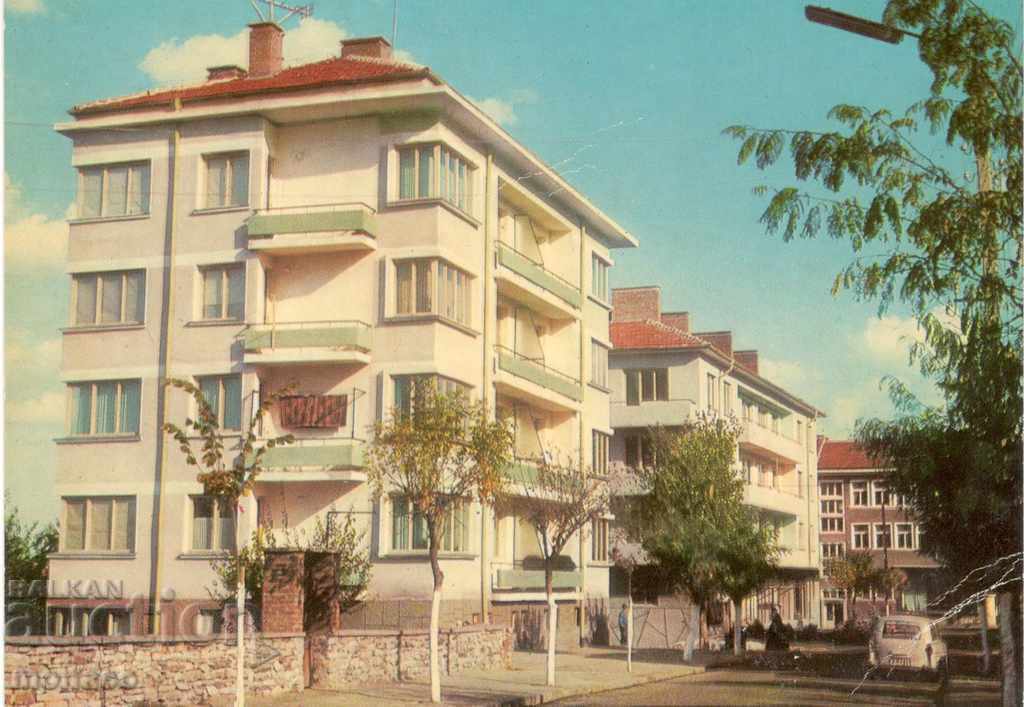 Carte poștală - Topolovgrad, blocuri de apartamente