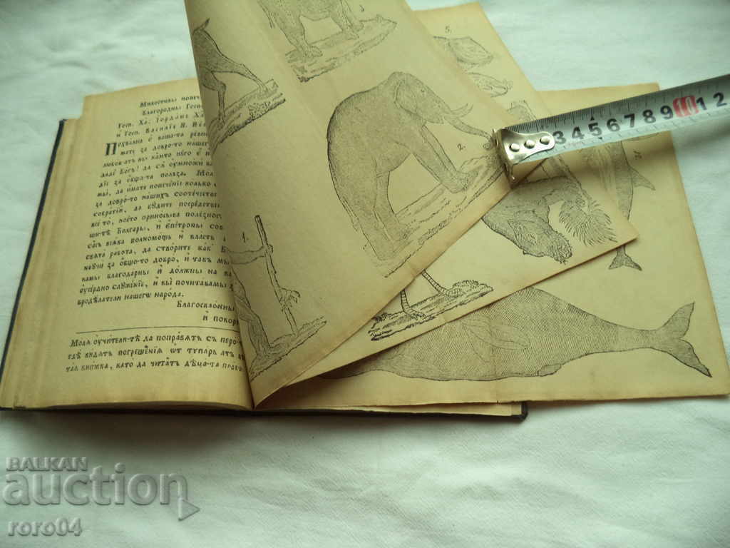 FIBER BUKER - PETER BERON - 5 FIBER BUKER - PETER BERON - 5