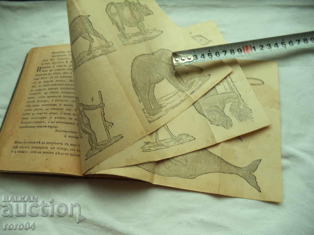 FIBER BUKER - PETER BERON - 5 FIBER BUKER - PETER BERON - 5