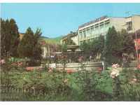 Postcard - Radomir, Universal store