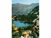Carte poștală - Pirin, Lacul Vasiliskoto