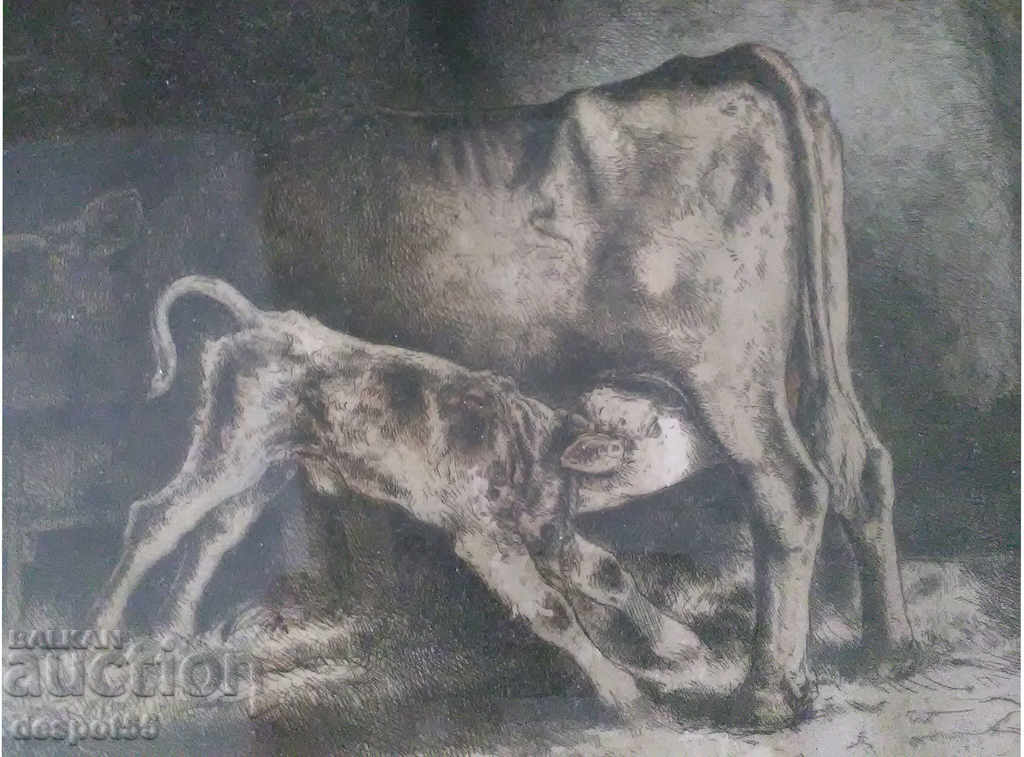 1923. Унгария. Gyula Wanyerka Komjáti (1894 - 1958). с цена 180.00 лв. | € 92.03 1923. Унгария. Gyula Wanyerka Komjáti (1894 - 1958). с цена 180.00 лв. | € 92.03