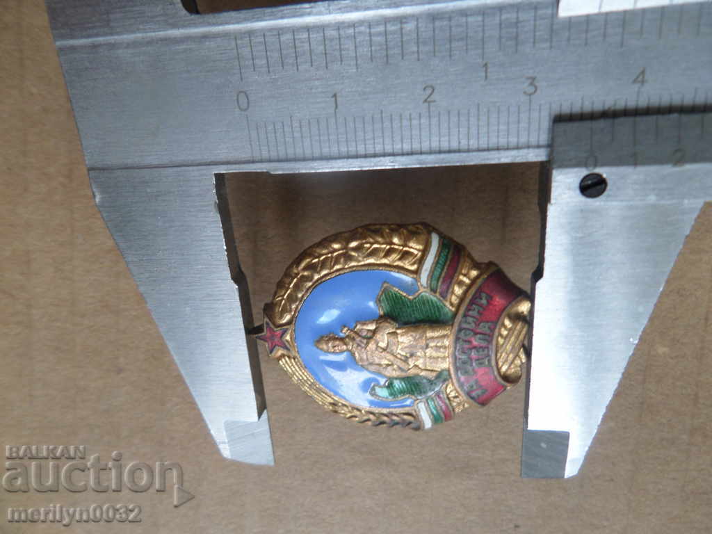 Auction Old Badger Early Sock For Worthy Works Medal Embroidery Auction Old Badger Early Sock For Worthy Works Medal Embroidery