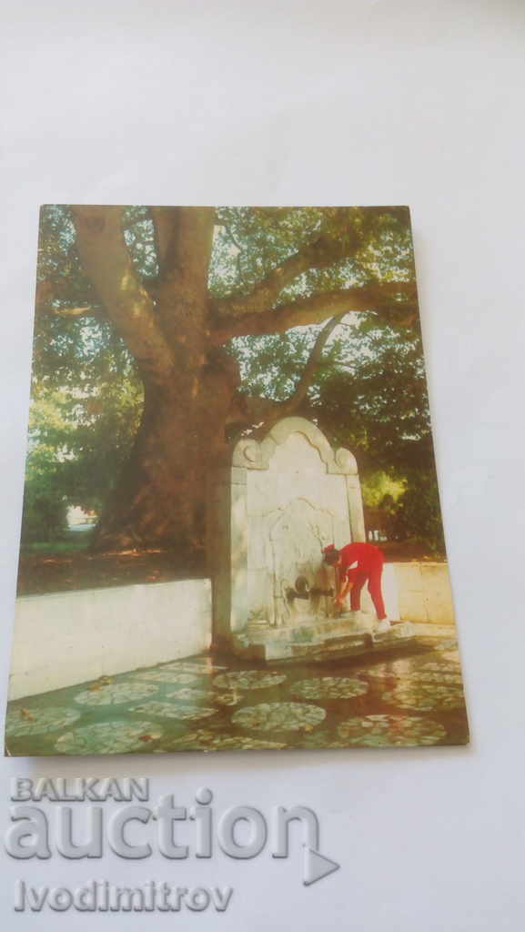 Καρτ ποστάλ Sandanski Η κρήνη κάτω από το αιώνα παλιό δέντρο