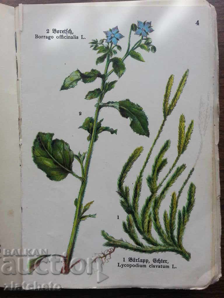 Auction Interesting book in German .. Auction Interesting book in German ..