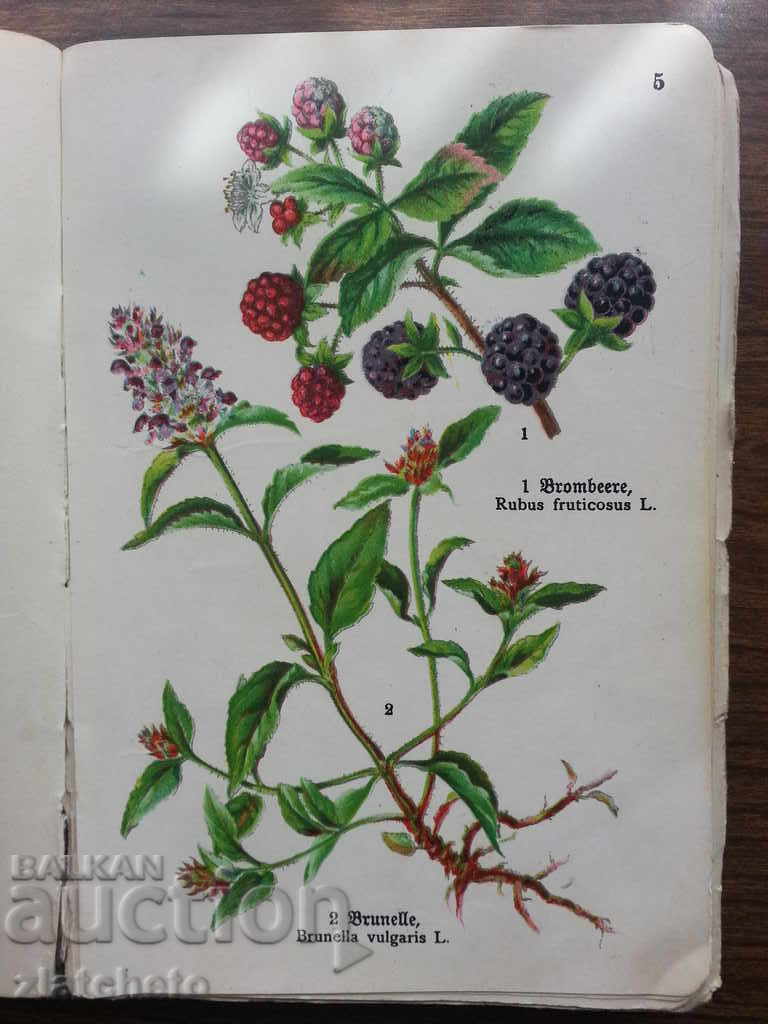 Delivery of Interesting book in German .. Delivery of Interesting book in German ..