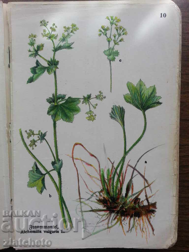 Interesting book in German .. - 5 Interesting book in German .. - 5