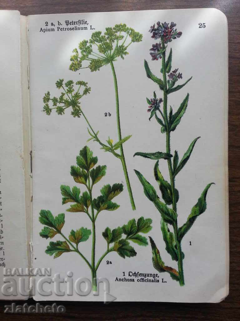 Interesting book in German .. - 6 Interesting book in German .. - 6