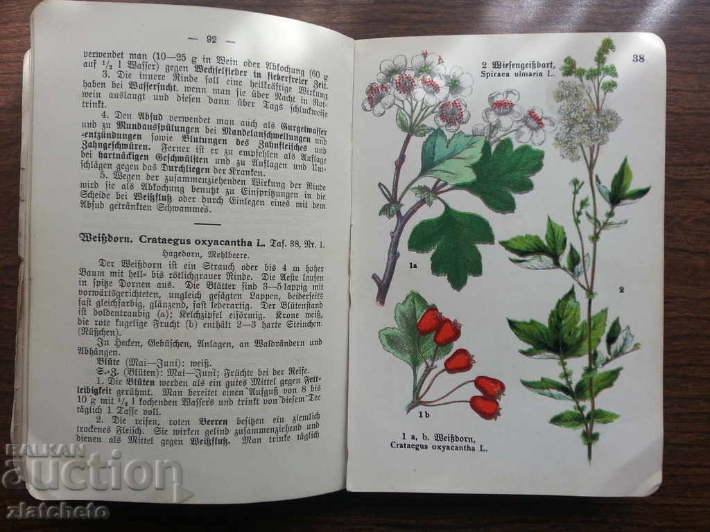 Interesting book in German .. - 7 Interesting book in German .. - 7