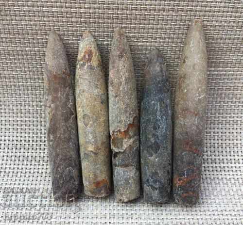 Auction natural marine fossils Auction natural marine fossils