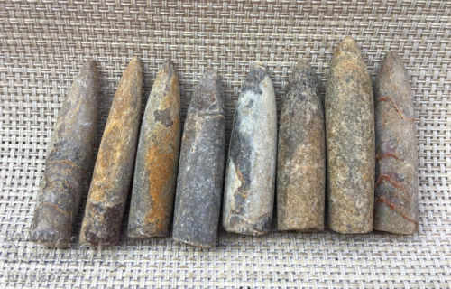 Delivery of natural marine fossils