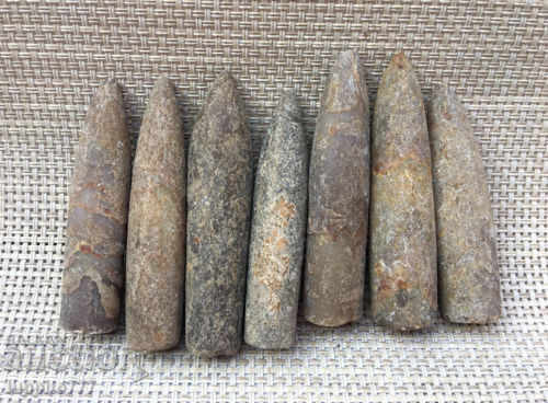 natural marine fossils with price 99.99 BGN | € 51.12