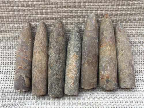 Auction  natural marine fossils